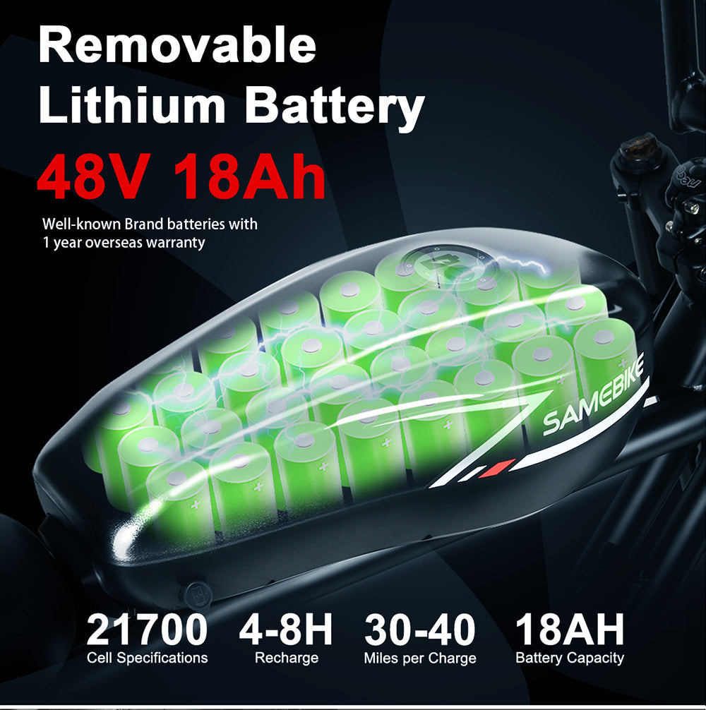 M20 Bicicletta Elettrica 1000W