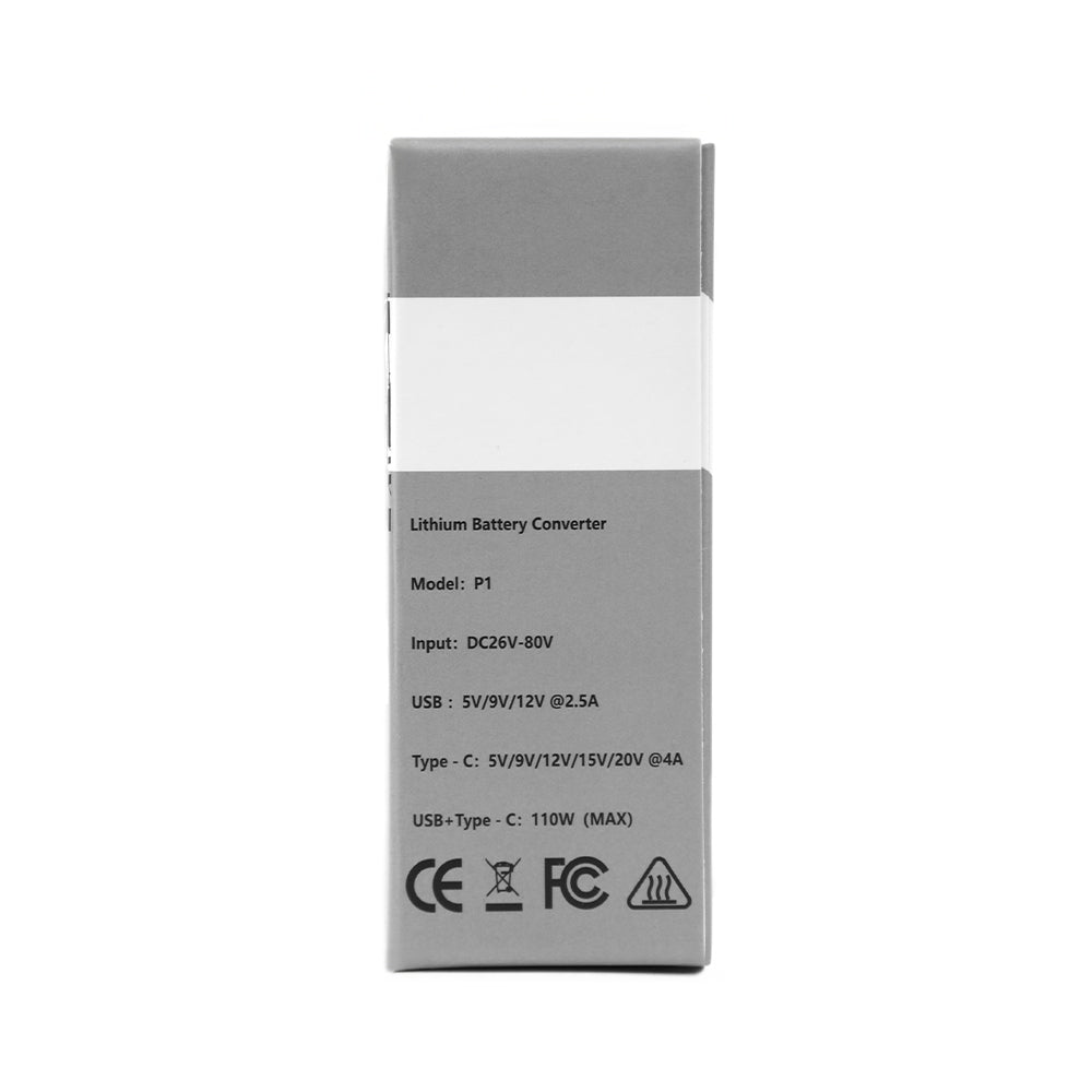 Duotts batterikonverterare