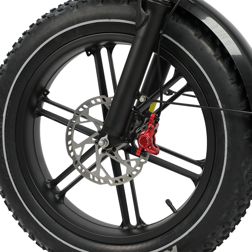 DUOTTS F20 20" Off Road Electric Bike 750W Motor 52V 27Ah Battery