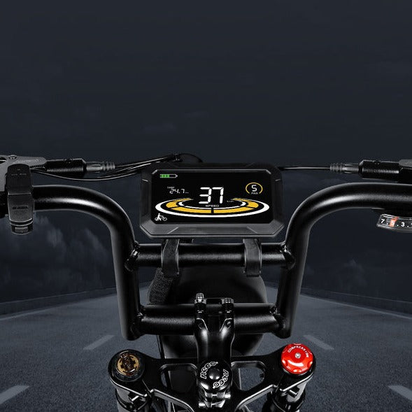 M20-III 2000W Electric Bicycle