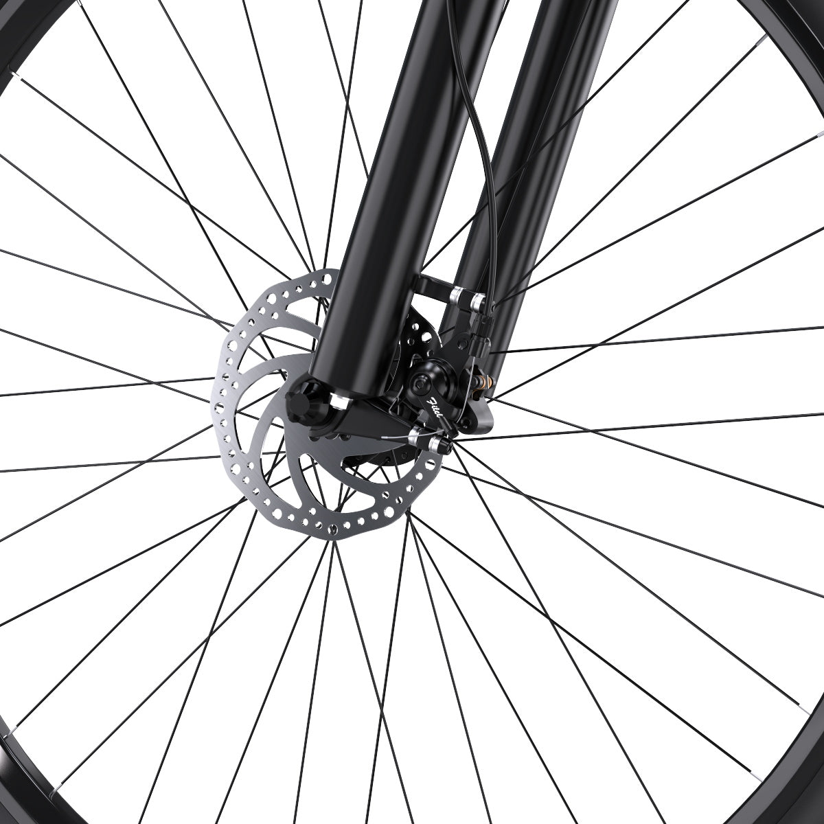 DUOTTS C29 29" Mountain Electric Bike 750W Motor 48V 15Ah Battery