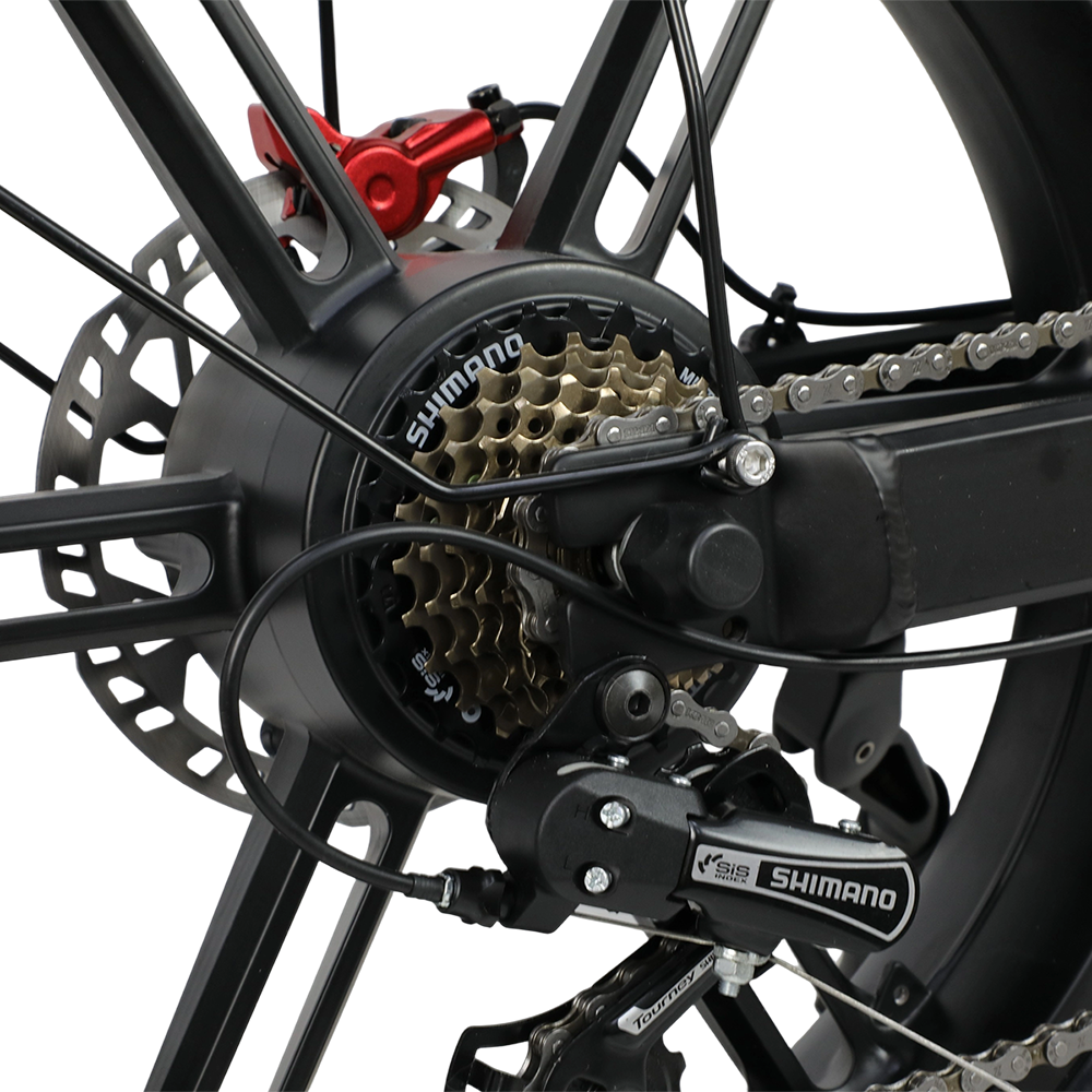 DUOTTS F20 20" Off Road Electric Bike 750W Motor 52V 27Ah Battery