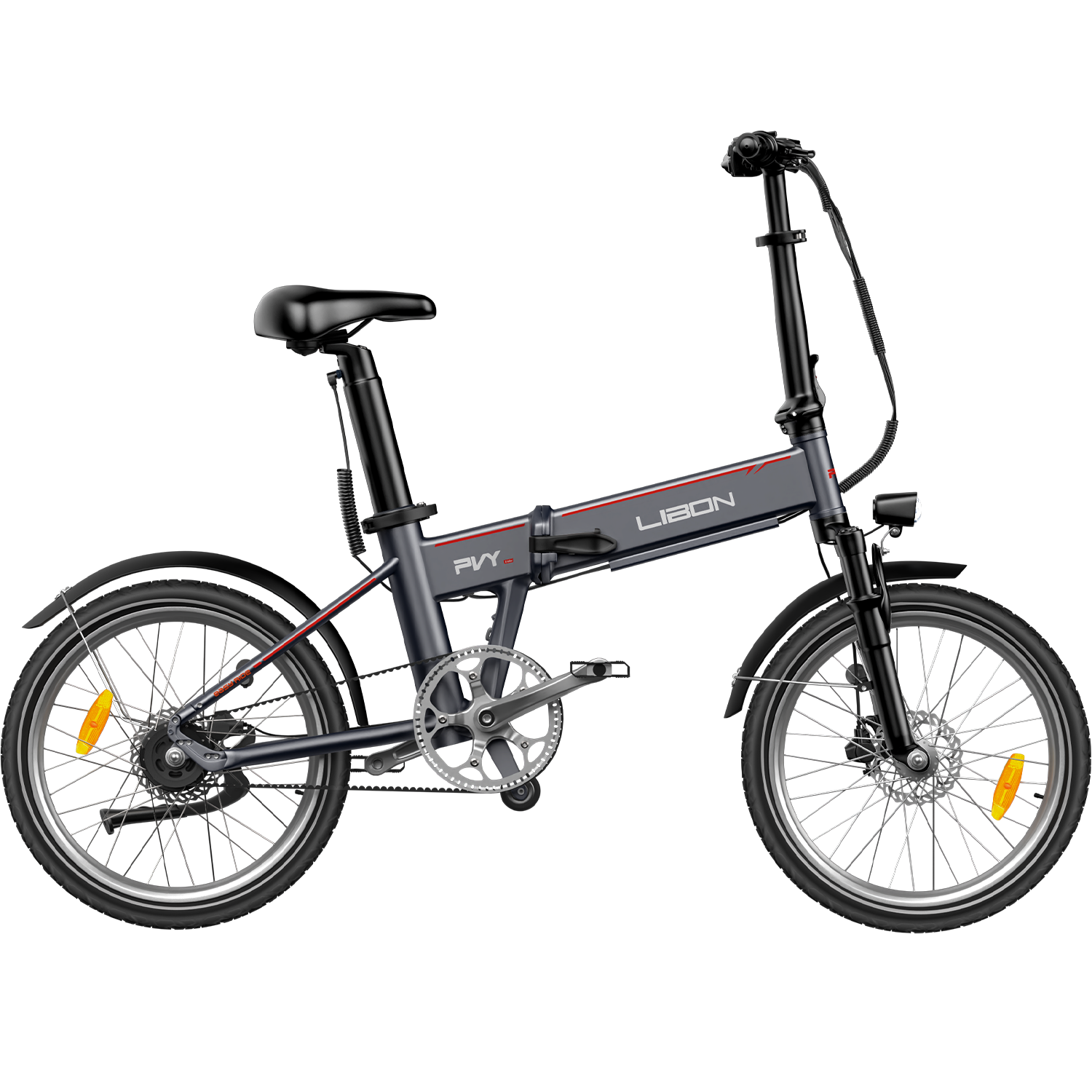 PVY LIBON（副kopie）