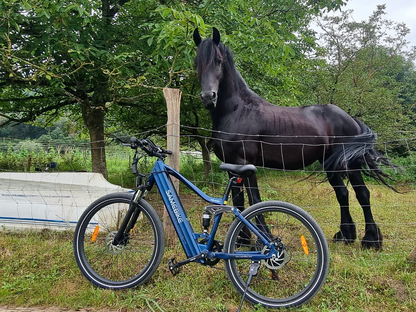XD26-II Bicicletta Elettrica Ibrida