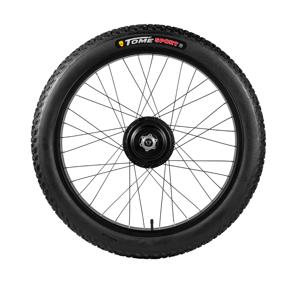 26*3.0 rear wheel motor (including rim)