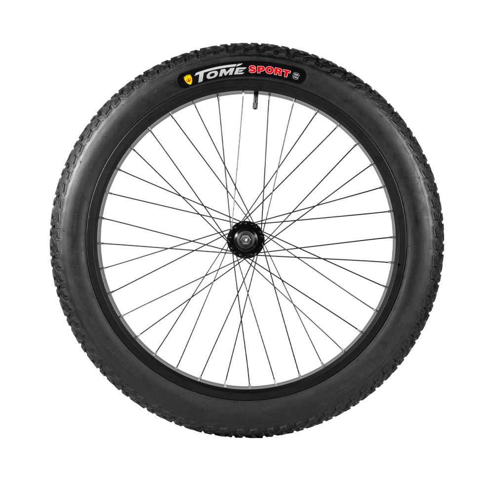 26*3.0 front wheel