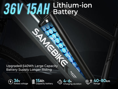 RS-A01 Bici Elettrica da Pendolare Uomo