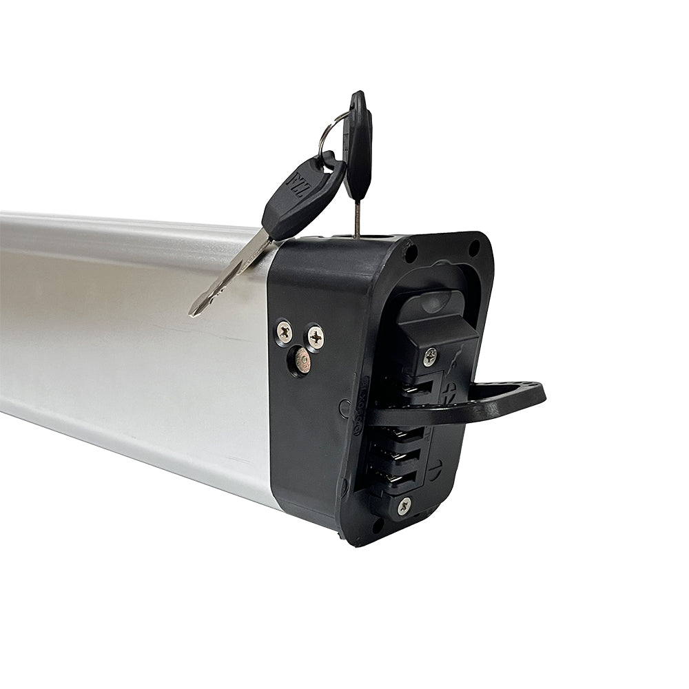 Batteri Samsung 50E 48V 10AH För BT20