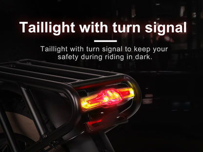 XWLX09-II 1000W Ebike da Montagna con Pneumatici Larghi