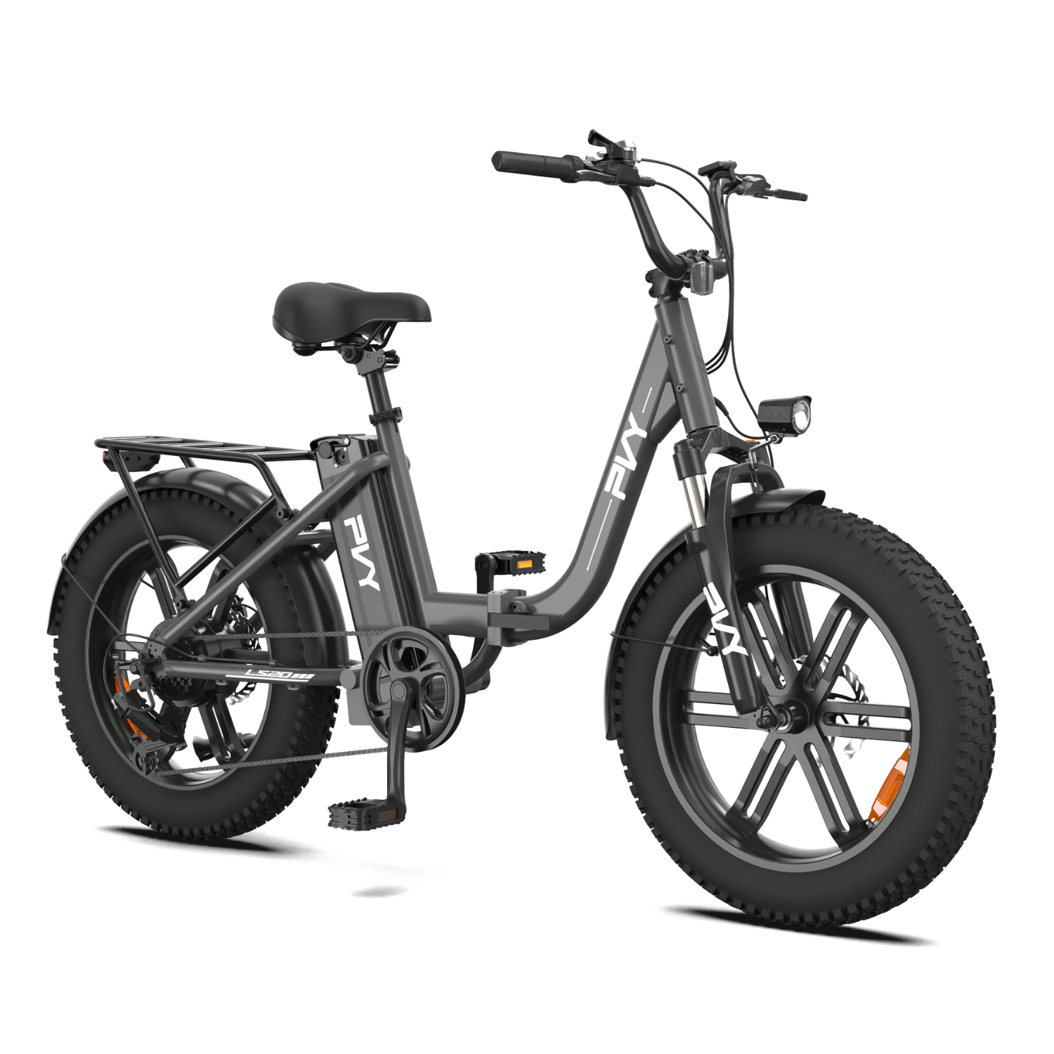 PVY LS20（副kopie）