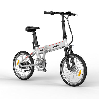 PVY LIBON (backup) (kopie)