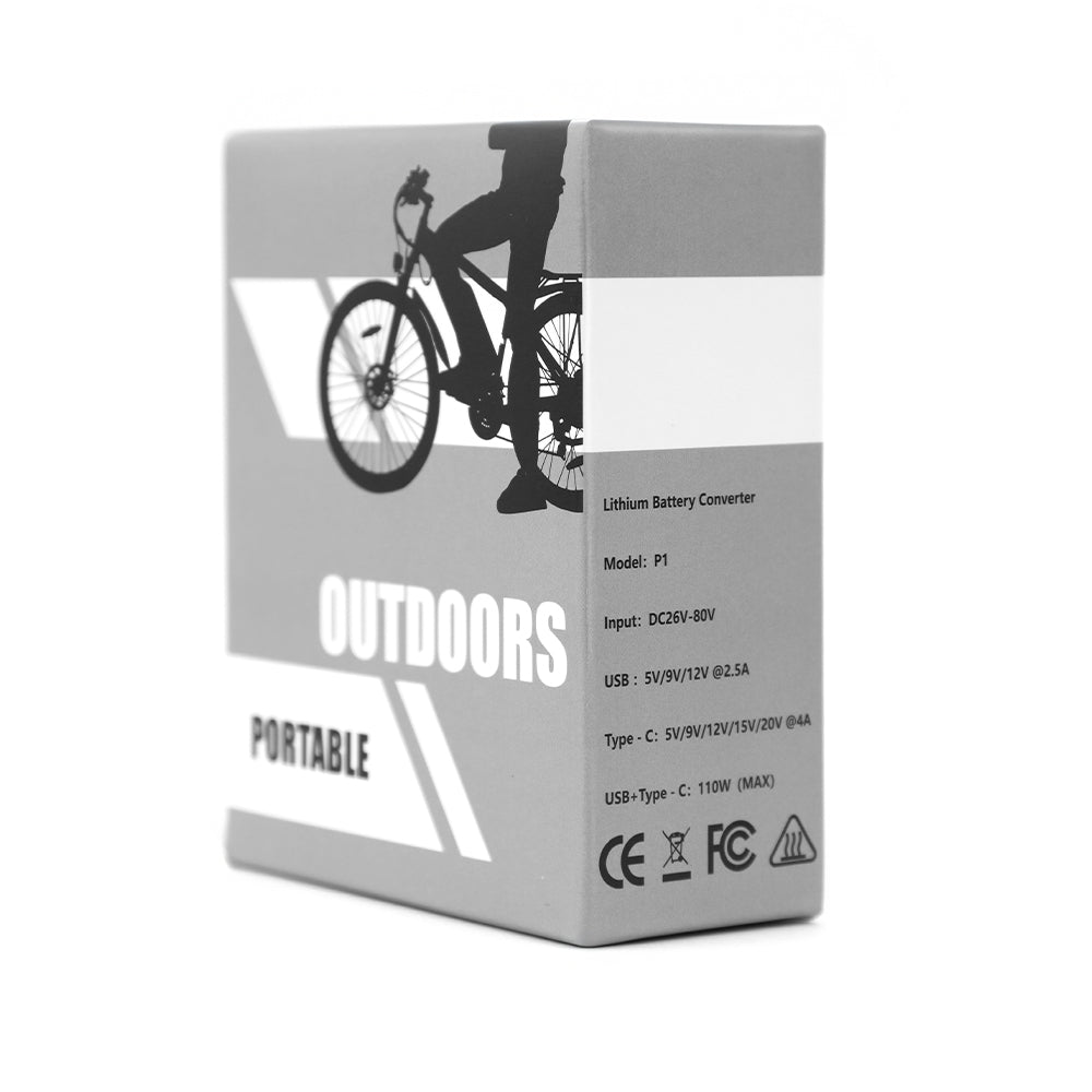 Duotts batterikonverterare