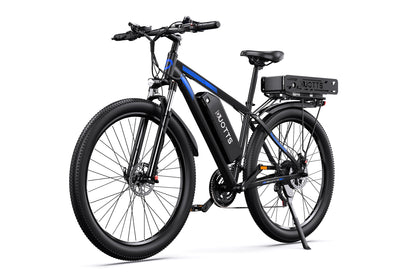 DUOTTS C29-K Electric Bike