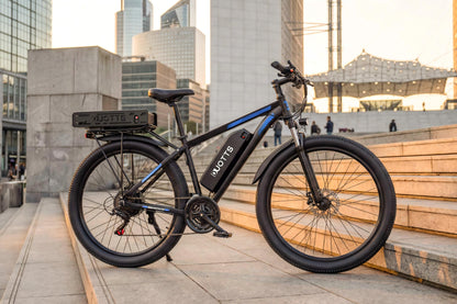 DUOTTS C29-K Electric Bike