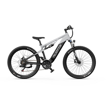 DUOTTS E29 27.5" Off Road Electric Bike 250W Motors 48V 13.5Ah Battery