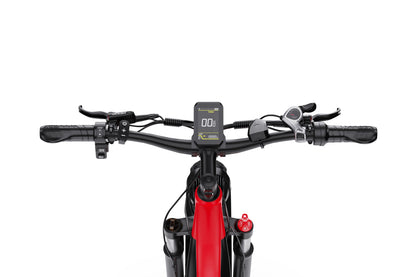 DUOTTS F26 Electric Bike