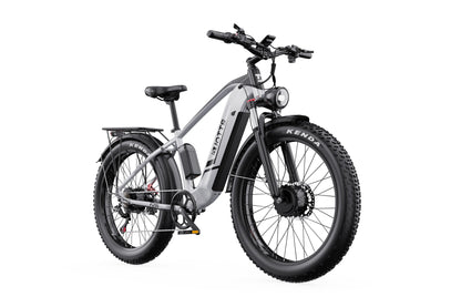 DUOTTS F26 Electric Bike