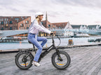LOTDM200-II Step-through Folding Electric Bike