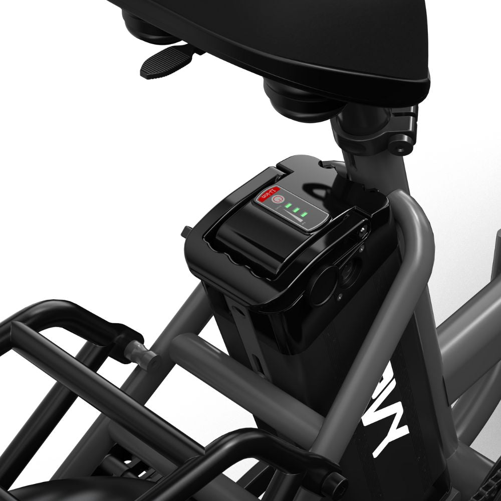 LS20 Bateria de iões de lítio