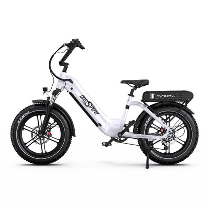 ONESPORT OT08 20" Fat Tire All-Terrain Electric Bike 500W Motor 48V 18Ah Battery