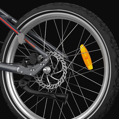 Raggi per pneumatici PVY LIBON