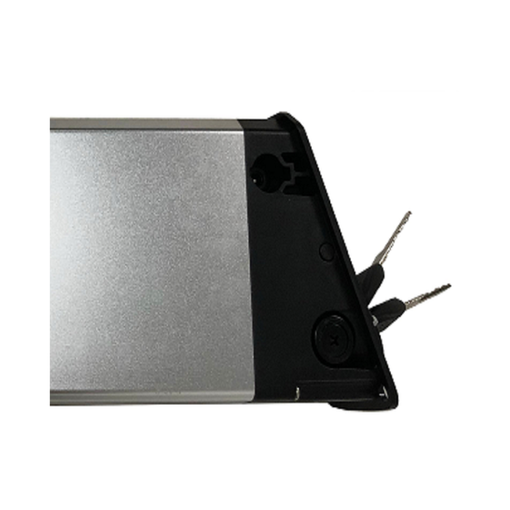 Z20 PLUS 1000 Copertura Batteria (un set)