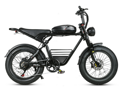 M20 Bicicletta Elettrica 1000W