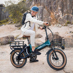 MIHOGO ONE Utility EBIKE