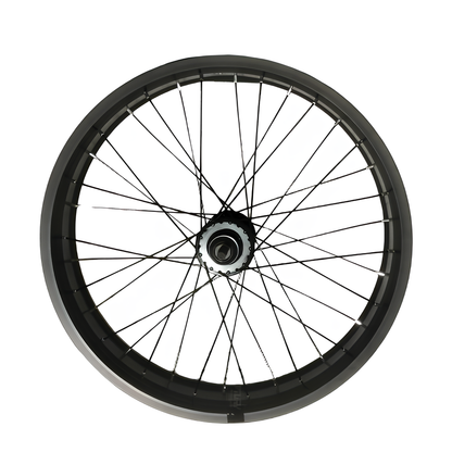 PVY Z20 PLUS Banden Spaken